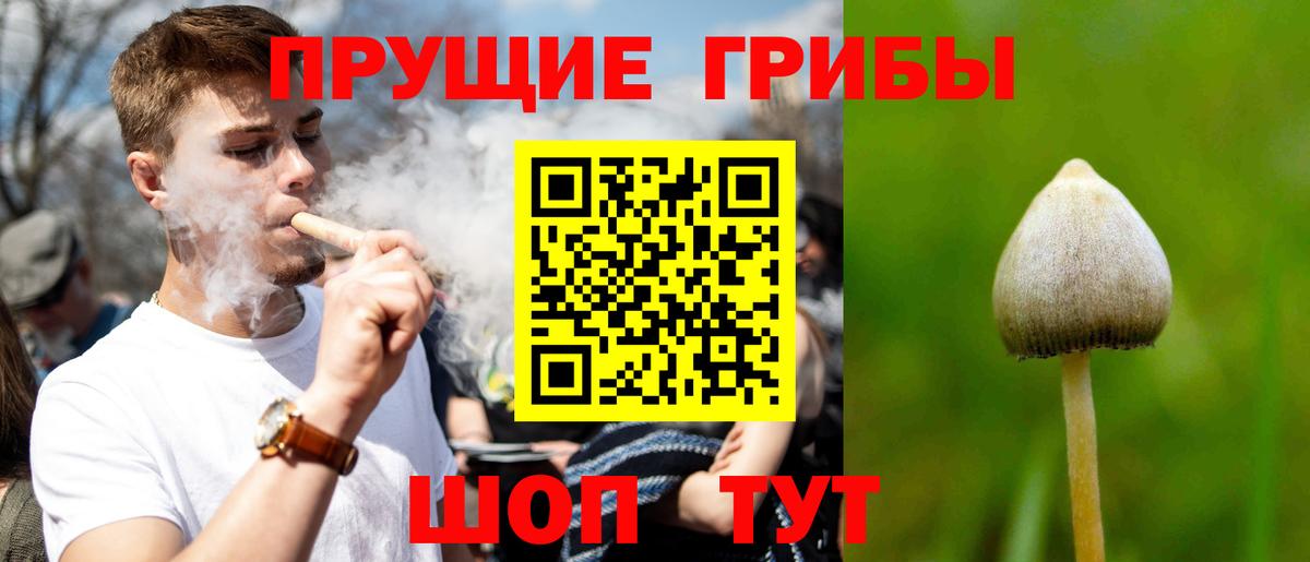 Туймазы  Галлюциногенные грибы Psilocybe  Вход с VPN 